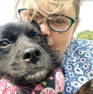 Meet your Posher, Shawn